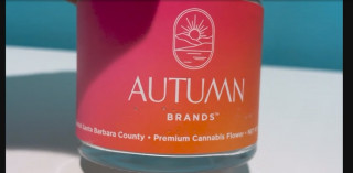 Woman Owned Cannabis Company Uses Packaging To Reinforce Brand Values